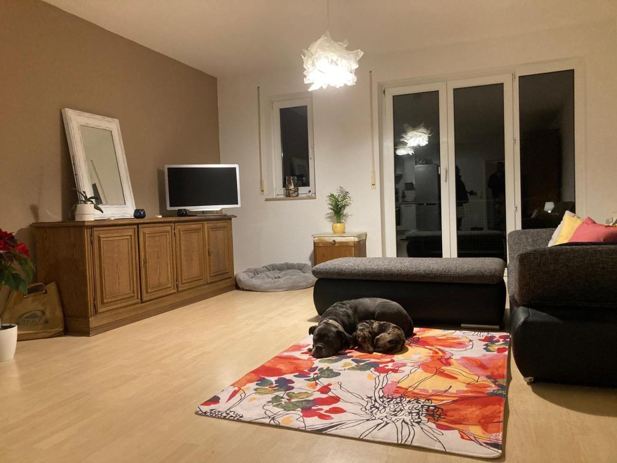 3 Zi Wohnung Haustiere Willkommen Im Markgraeflerland Dreilaendereck Schliengen Εξωτερικό φωτογραφία